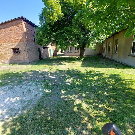 Ferienhaus Sommer Linden Deyelsdorf Eksteriør billede